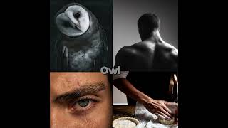 Meet my Oc's! #books #booktok #ocs #fantasy #lore #fyp #fypシ #writing #teen #foundfamily