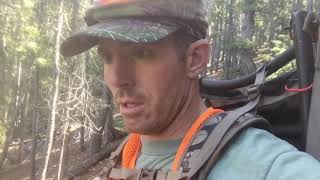 Worst Elk Hunting Video Colorado DIY Solo