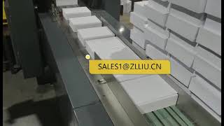Automatic A5 COPY PAPER cutting and ream wrapping machine 20220716