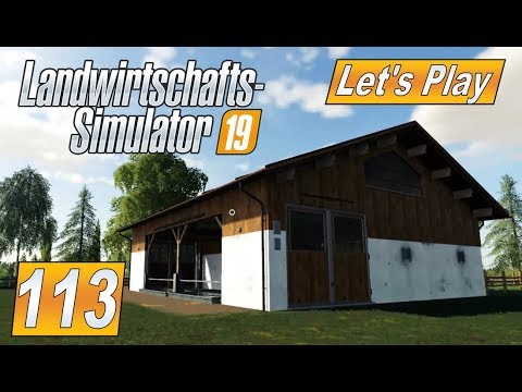 lets play a little game LS19 #113 Der Pferdestall steht #Farming Simulator 2019 #LetsPlay Landwirtschaft #facecam #webcam