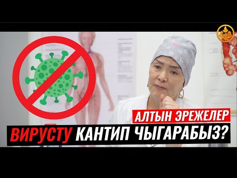 Video: Вирусту кантип карантинге коюу керек