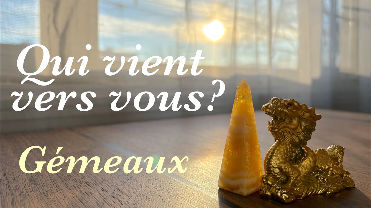 Gémeaux - Qui vient vers vous? - Février 2026 - Tirage de tarot