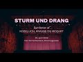 Sturm &amp; Drang - Concerto Copenhagen