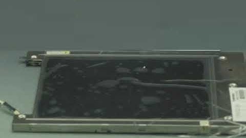 LTM09C016K TOSHIBA 640x480 10 4 LCD Panel LCD Display LTM09C016K LCD Screen Panel LCD Display