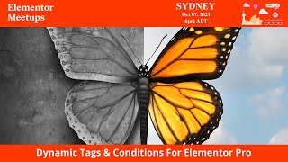 Dynamic Tags & Conditions For Elementor Pro Wealth