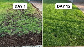 Skip Aerating \& Get These Results