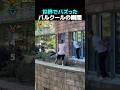 世界でバズったパルクールの瞬間TOP5