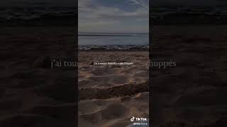 Ven1-Menace Fantôme