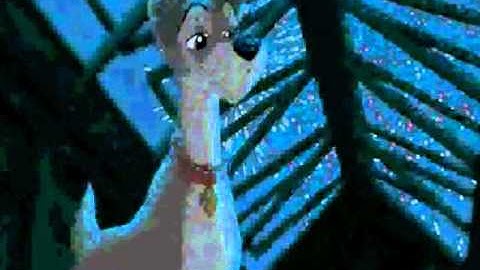 Safe and Sound Animash