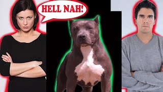 Husband and Wife fight  over buying big Pitbull /  XL American bully dog ! BGK Story Time