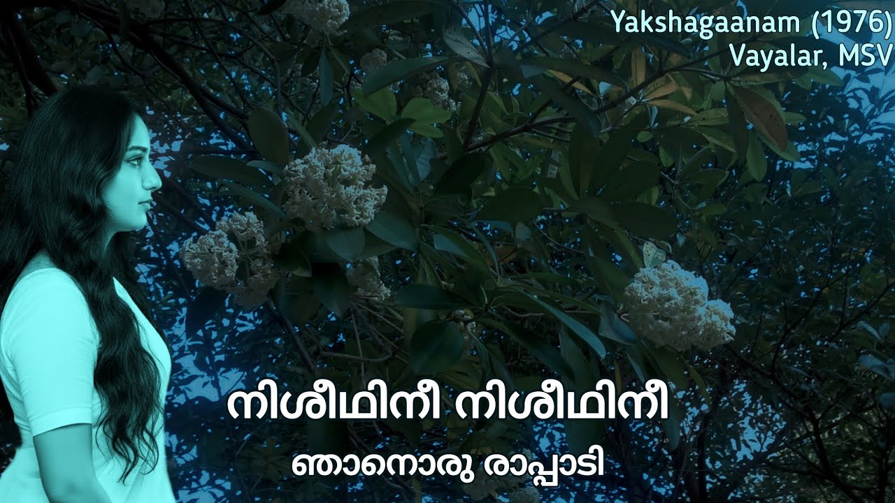 Nisheedhinee Nisheedhinee Njaanoru Raappadi | നിശീഥിനീ നിശീഥിനീ ഞാനൊരു രാപ്പാടി | Janaki