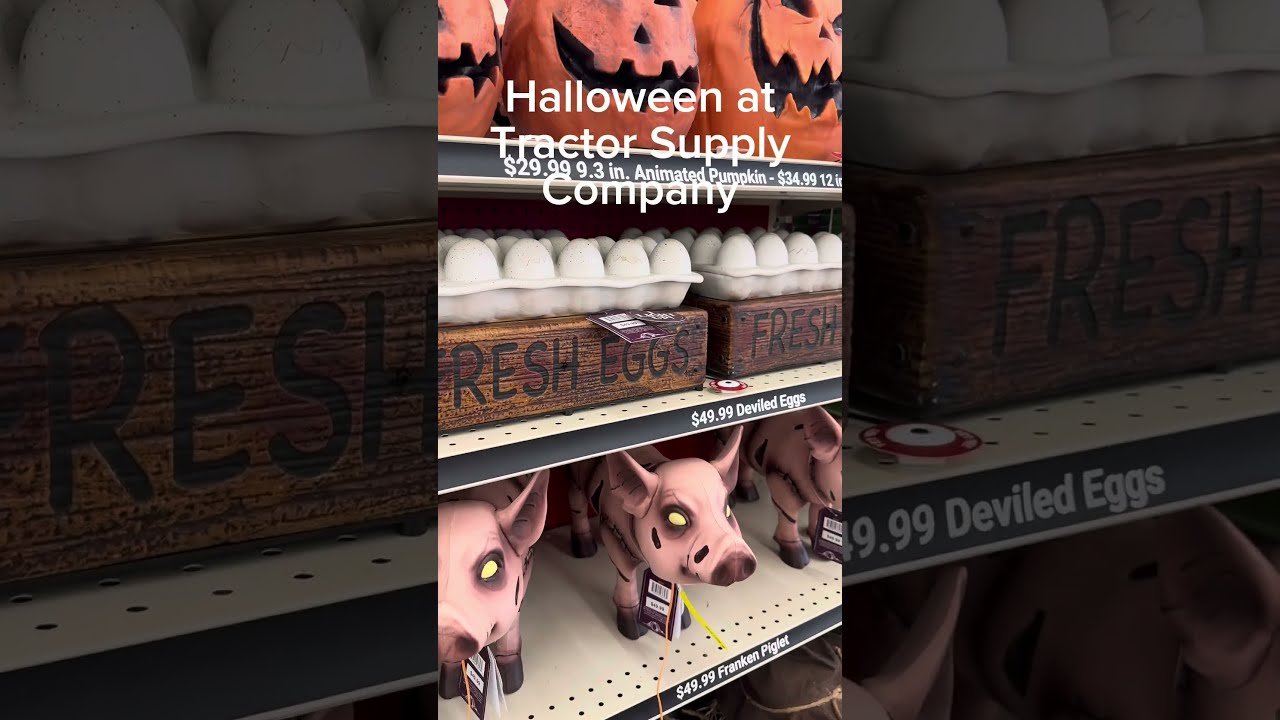 Halloween at tractor supply company 🎃👻