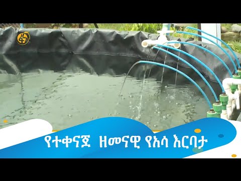 ቪዲዮ: የመዝናኛ ማዕከላት አርክቴክቸር ዲዛይን፡ ፎቶዎች ያሏቸው ፕሮጀክቶች