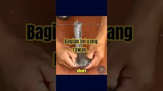 DIY Pot Tanaman dari Semen - Mudah &amp; Murah! 🌿 #Craft #Tutorial #DIY