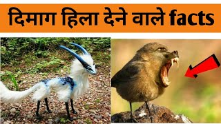 ऐसी चीजे जो स्कूल में नहीं बताई गयी 10+ random facts about world you wont hear at school,world facts