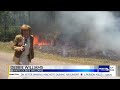 Baldwin County wildfire scorches 500 acres of woodlands