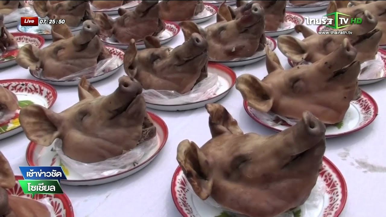 นครปฐม แก้บนหัวหมู 300 หัว