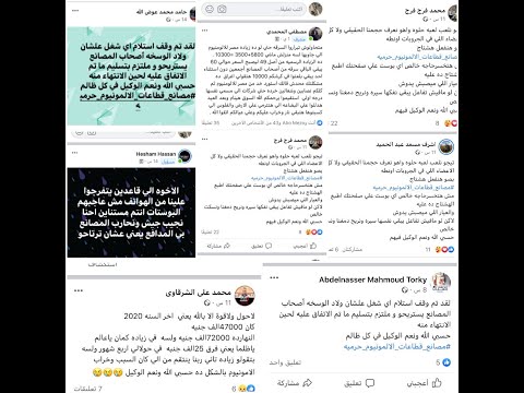 مصر للالومنيوم تشارك فى تدمير صناعة الالومنيوم وتقتسم المال الحرام مع على بابا والعشرين حرامى