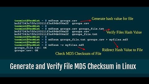 HashCalc: Calculate Hashes and Checksum at once! using kali linux