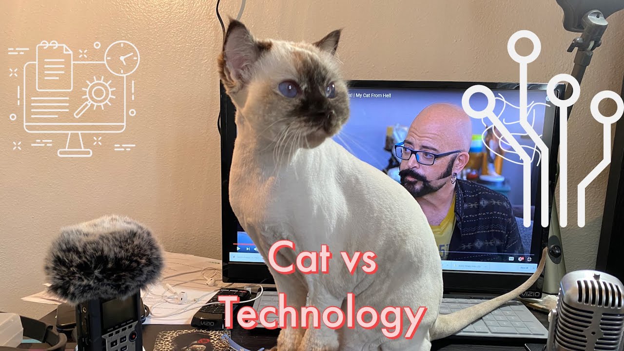 CAT VS TECHNOLOGY. How to stop your cat from chewing wires