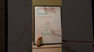 Pirámide Trófica Noveno A Y B