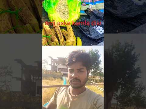 barpeta road to rupohi#minivlog #reels#shortvideo