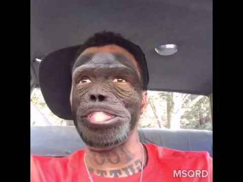 Talking Monkey