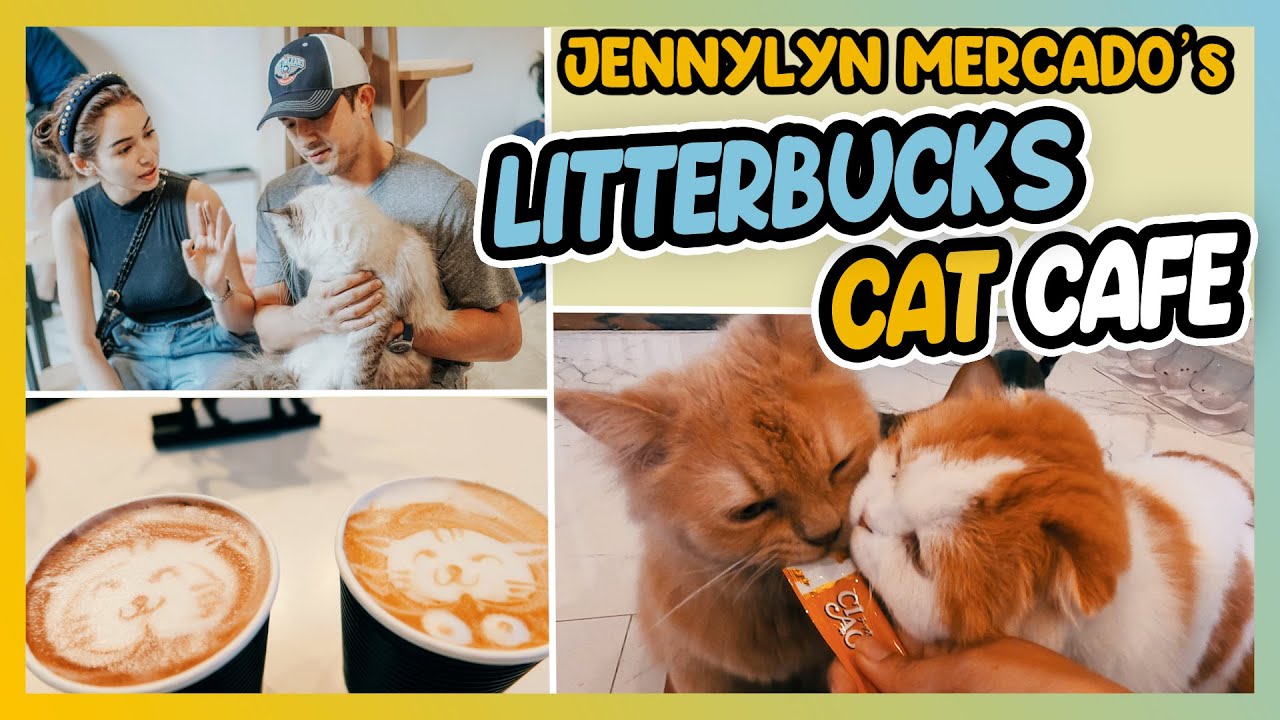 JENNYLYN MERCADO & DENNIS TRILLO'S CAT CAFE l Litterbucks Cat Cafe in Quezon City, Metro Manila