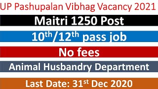 UP Animal Husbandry Department Recruitment 2020-21|UP Pashupalan Vibhag Vacancy for Maitri Post