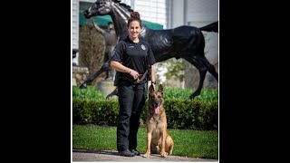 Meet Officer Cline and K-9 Bandit
