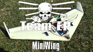 tep miniwing high wind gates