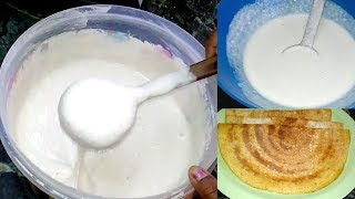 தோசை மாவு அரைப்பது எப்படி | How To Make Crispy Dosa Mavu | South Indian Recipes screenshot 5