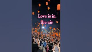 A Sea of Lanterns: The Most Romantic Night Ever 💖