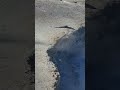 #исландия