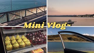 Mini Aesthetic Vlog Weayeaa.b