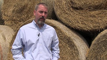 The Angus Report, Nov. 12, 2012: Practical Applications