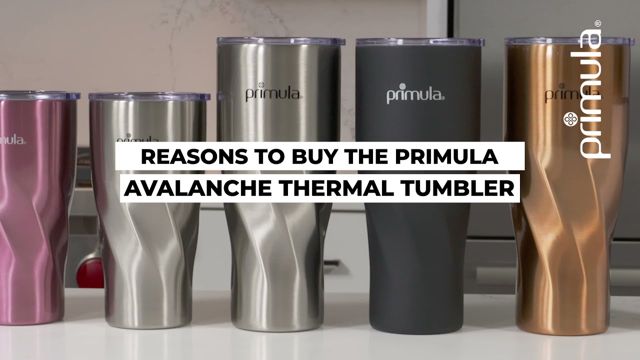 Primula Hot or Cold Thermal Travel Stainless Steel Tumbler 20 oz- Gift Box  - Champagne