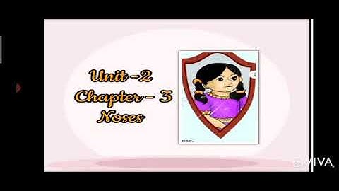 Class 4th| NCERT| Chapter 3- Noses|Word /Meaning and Question/Answers|May 7, 2021