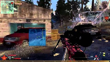 ibattler mw2 karma bot(www.ibattler.com)