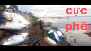 Săn cá thác lác cườm tự nhiên , (cá nàng hai) tập 5