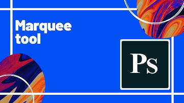 Marquee tool  Adobe Photoshop for Beginners in Bangla