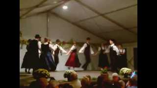 Video thumbnail of "Dunaharaszti Rosinen Tánccsoport - Marsch und Zeppel"