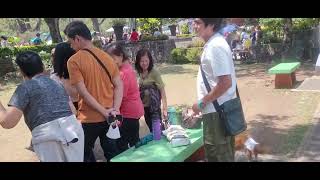 Burnham Summertime Today #burnhampark #baguiocity #trending #shortsvideo #shorts