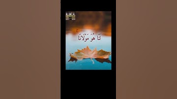#عبدالباسط_عبدالصمد #تلاوات #قران_كريم #تلاوة_هادئة #قرآن #تلاوةخاشعة