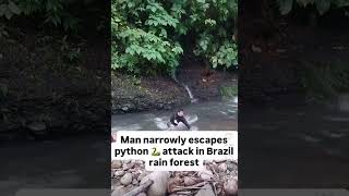 Man Narrowly escape Python Attack in Brazil Rainforest #shorts #brazil