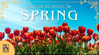 Classical Music for Spring by HALIDONMUSIC 231,077 views 1 month ago 2 hours, 38 minutes