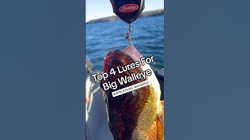 Top 4 RAPALA Husky Jerk Color’s for BIG WALLEYE. #fishing #fishingvideo #shorts #top #4