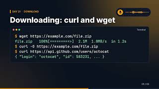 Learn Linux in 30 Days — Day 21: Networking Basics