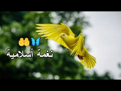 اجمل رنات اسلامية 2020 افضل نغمات موبايل نغمة رنين هاتف اسلامية اناشيد دينية  