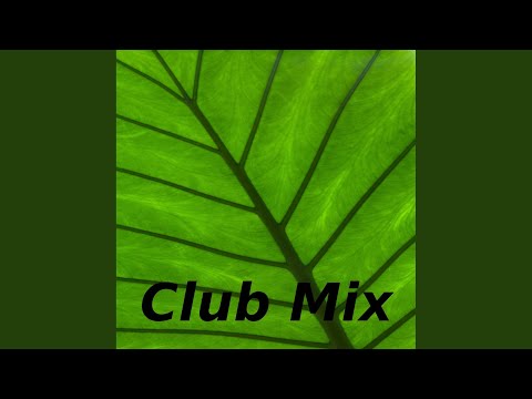 Rave Anthem